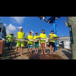 Meet your Posher, Adelina